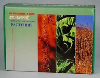 Гербарий "Кормовые растения" (20 видов) формат А-3