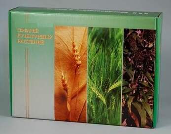 Гербарий "Культурные растения" (28 видов) формат А-3 + CD