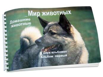Пособие Для Слабовидящих - Домашние Животные
