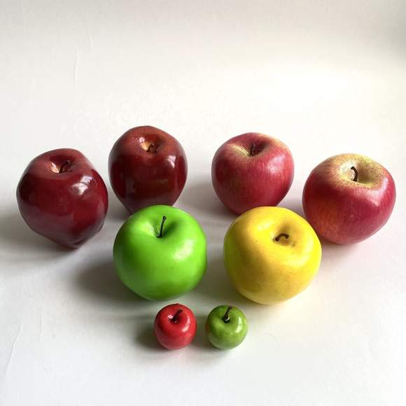 Набор муляжей "Дикая форма и культурные сорта яблок"
