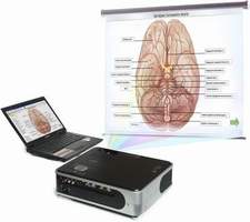 Комплект электронных плакатов «Анатомия центральной нервной системы (часть 2)», 228 модулей