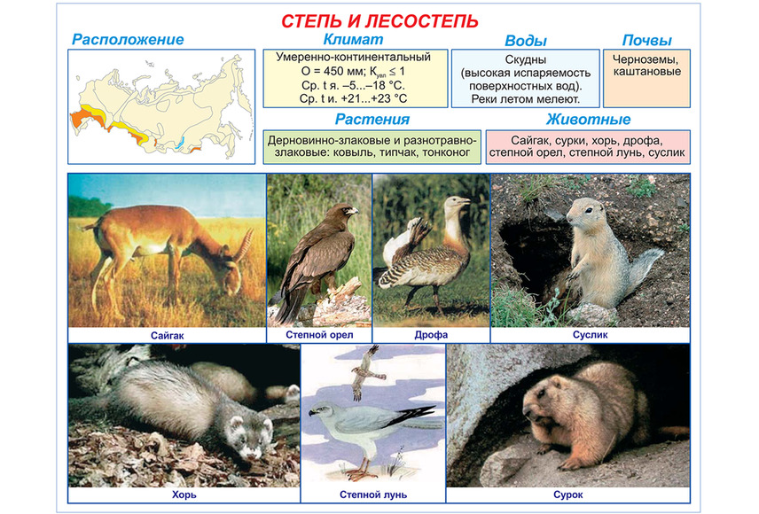 Электронные плакаты «География России», (168 графических модулей).