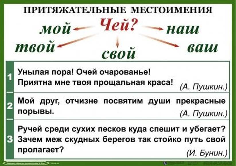 В каком предложении притяжательные местоимения. Притяжательные местоимения в русском языке таблица с примерами. Притяжательные местоимения в русском языке таблица. Притяжательные местоимения в русском языке 6 класс таблица. Притяжательное местоимение примеры.