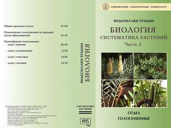 Систематика растений. Часть 2. Голосеменные