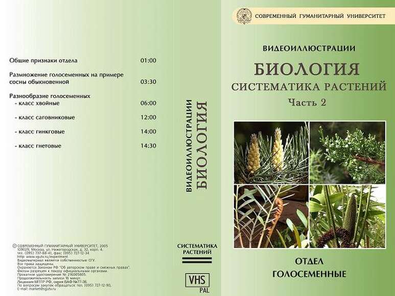 Систематика растений. Часть 2. Голосеменные