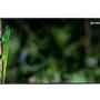 Профессиональный дисплей Geckotouch 65DCR
