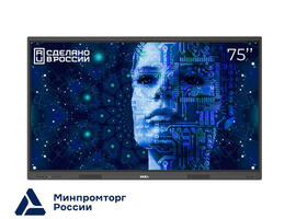 Интерактивная панель (комплекс) EXELLTECH EXID-752-RU с креплением, встроенной камерой 48МП и VGA