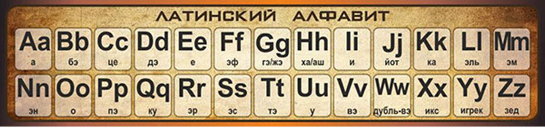 Стенд Латинский алфавит, 1,3x0,3 м, без карманов