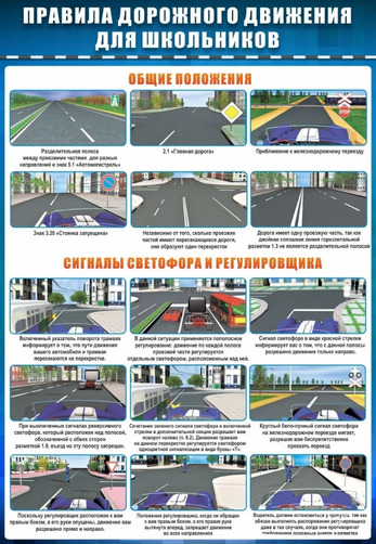 Стенд ПДД. Общие положения. Сигналы светофора и регулировщика, 0,7x1 м, без карманов