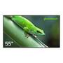 Профессиональные дисплей "Geckotouch 55DH"