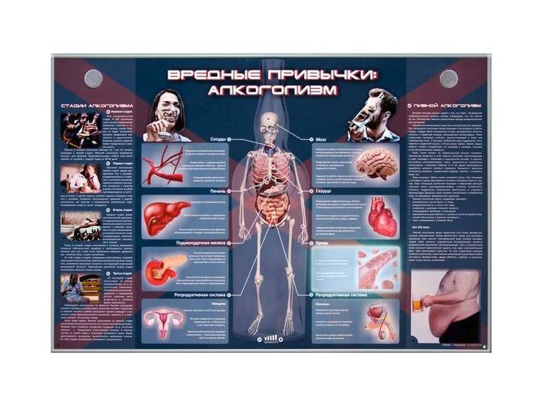 Интерактивный светодинамический комплекс «Вредные привычки»