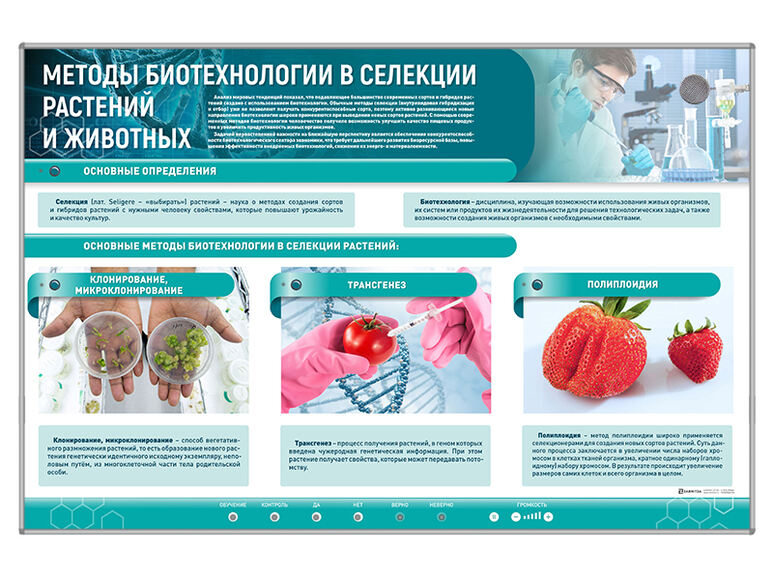 Сборный электрифицированный стенд "Методы биотехнологии в селекции растений и животных"