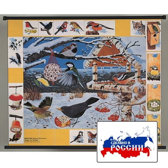 Магнитный плакат "Птицы зимой" с методическими рекомендациями.