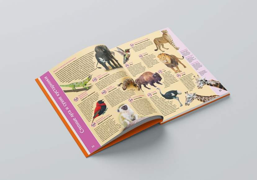 Книга "Планета Животных" для Говорящей ручки "Знаток"