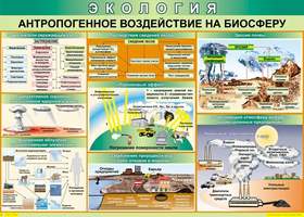 Таблица Антропогенное воздействие на биосферу (винил)