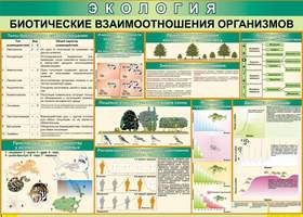 Таблица Биотические взаимоотношения организмов (винил)