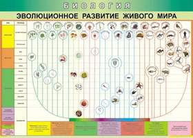 Таблица Эволюционное развитие живого мира (винил)