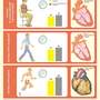 Здоровый образ жизни. Укрепление здоровья – 11 плакатов. Формат А-3.