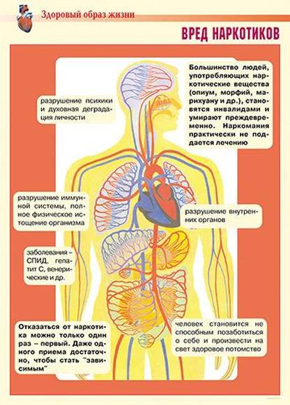 Здоровый образ жизни. Укрепление здоровья – 11 плакатов. Формат А-3.