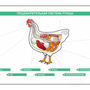 Электрифицированный стенд "Пищеварительная система сельскохозяйственных животных" со сменными фолиям