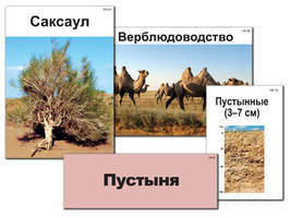 Модель-аппликация "Природные зоны России" (ламинированная)