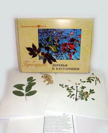 Гербарий «Деревья и кустарники» (20 видов) формат А-3