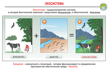 Электронные плакаты «Общая экология», (73 графических модулей).