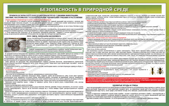 Стенд "Безопасность в природной среде № 1" (1,6х1 м, Премиум)