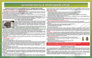 Стенд "Безопасность в природной среде № 1" (1,6х1 м, Эконом)
