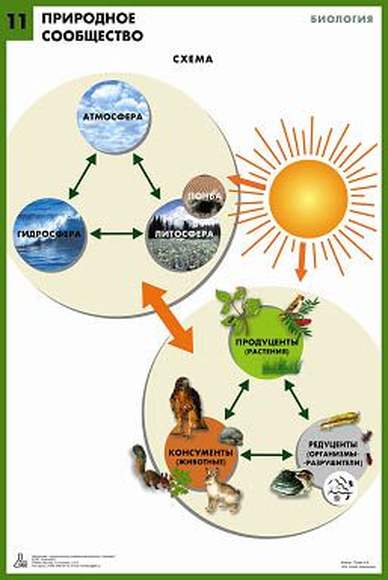Биология в рисунках, схемах и таблицах. Учебное пособ. 2 изд