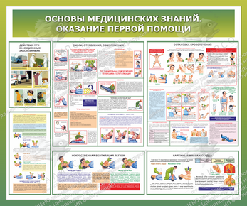 Стенд "Основы медицинских знаний. Оказание первой помощи" (1,2х1 м, Стандарт)