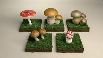 Модель грибов