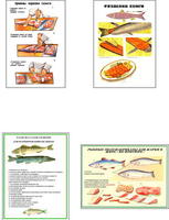 Плакаты ПРОФТЕХ "Разделка и обработка рыбной продукции" (8 пл, винил, 70х100)
