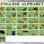 Грамматика английского языка  (1-4 кл), Комплект таблиц, 16  таблиц, размер 50х70 см