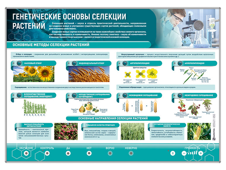Электрифицированный стенд "Генетические основы селекции растений"
