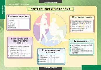 Таблицы Экономика 10-11 класс 25 шт