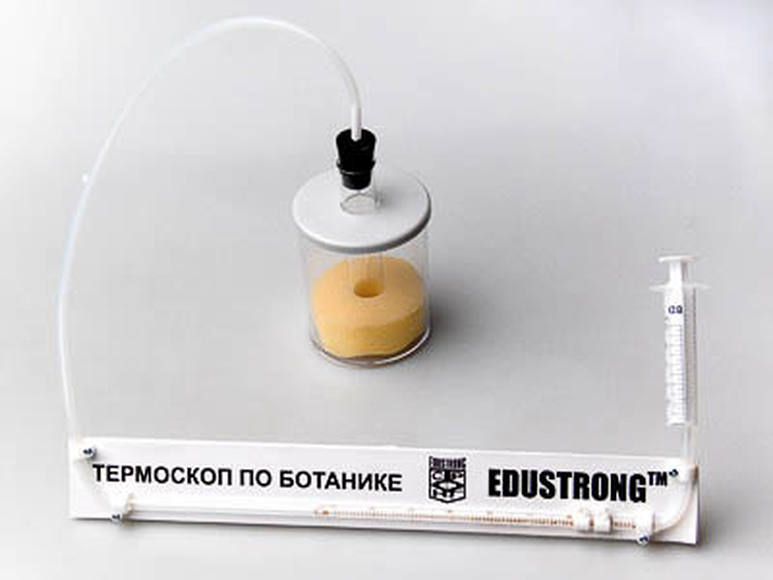 Термоскоп по ботанике (демонстрационный)