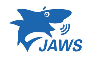 Обновление По "Jaws For Windows Pro" На 2 Версии Вперед (Sma)