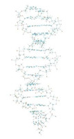 Модель ДНК Minit Proview / 1005301 / W19800