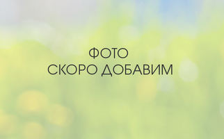 Комплект соревновательных элементов "Углубленное изучение робототехники" / 2.24.33.Т2.1 / 465-ПР