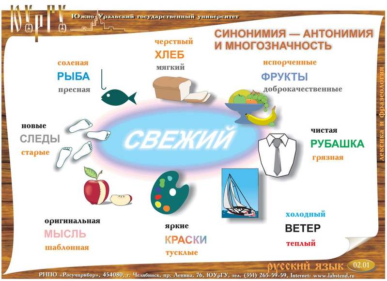 Диск электронные плакаты Русский язык. (190 модулей)