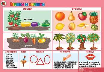 Окружающий мир 5-6 лет. "Животные и растения".