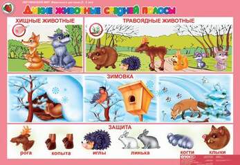 Окружающий мир 5-6 лет. "Животные и растения".