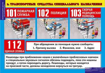 Окружающий мир 5-6 лет. Безопасная дорога