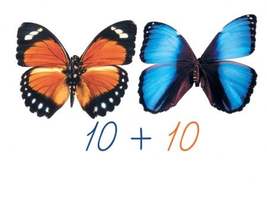 Бабочки (синие+красные), 20 карточек, 20 магнитов, счетный материал на магнитах