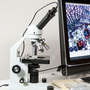 Цифровая камера Celestron для микроскопов 2 Мп