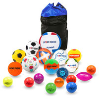 Большой набор спортивных мячей в сумке (19 мячей)