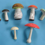 Набор грибов съедобных и ядовитых