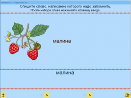 Русский язык. 1 класс. (Учебно-методический комплект). Лицензия на класс (15)