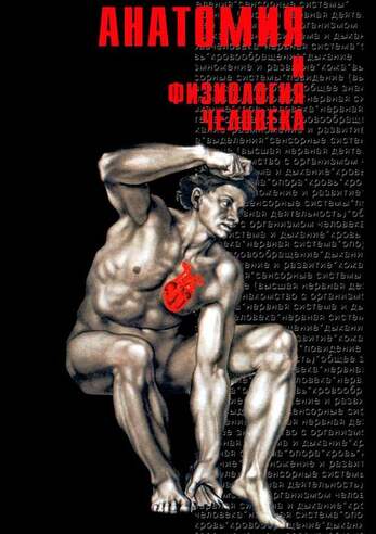 Учебный фильм. Анатомия -  1